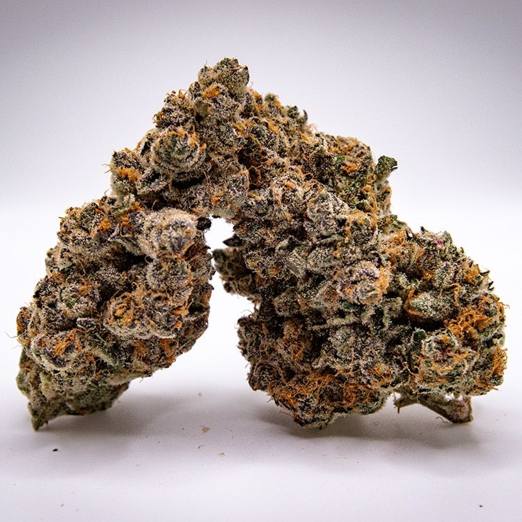 Boutique Bud - Blockberry (H) - 1G