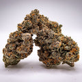 Boutique Bud - Blockberry (H) - 1G
