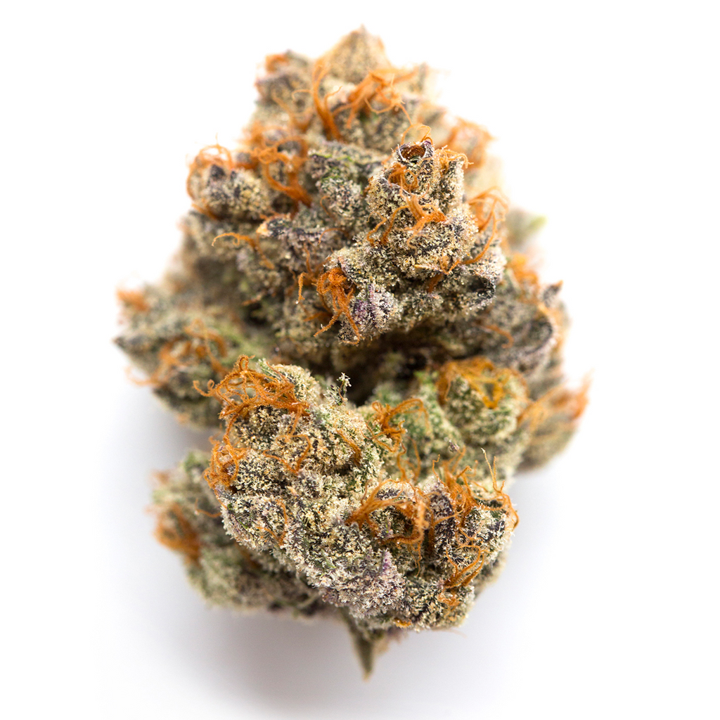 Boutique Bud - Blockberry (H) - 1G