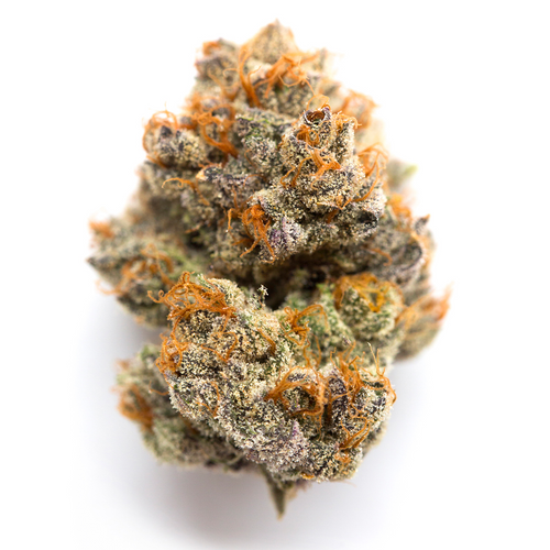 Boutique Bud - Blockberry (H) - 1G