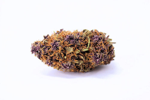 Boutique Bud - Purple Urkle (H/I) - 1G